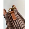 Celine Nano Luggage Bag 20cm Brown