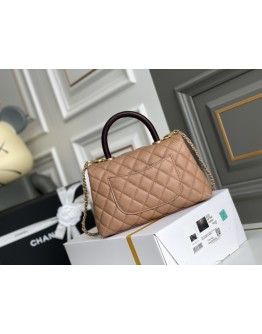 C-C  Top Handle 24cm 