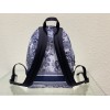 Dior Backpack 001