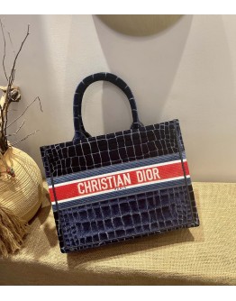 Dior Book Tote Velvet