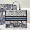 Dior Book Tote Large&Small