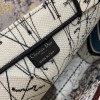 Dior Book Tote Large&Small