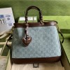 Gucci Ophidia Tote Bag