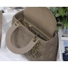Lady Dior My ABC Bag