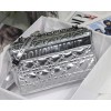 Dior Caro Silver 25cm