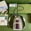 Gucci Ophidia GG small backpack 