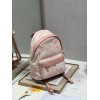 Dior Backpack pink