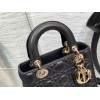 Lady 20cm My Abcdior Bag Black