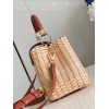 LV Capucines BB M48865