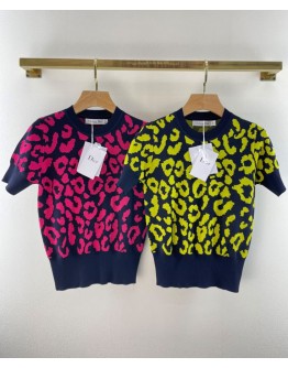 Dior Women's Leopard Print Knitted T-shirt