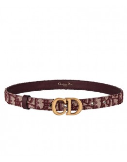 Dior Saddle Dior Oblique Belt