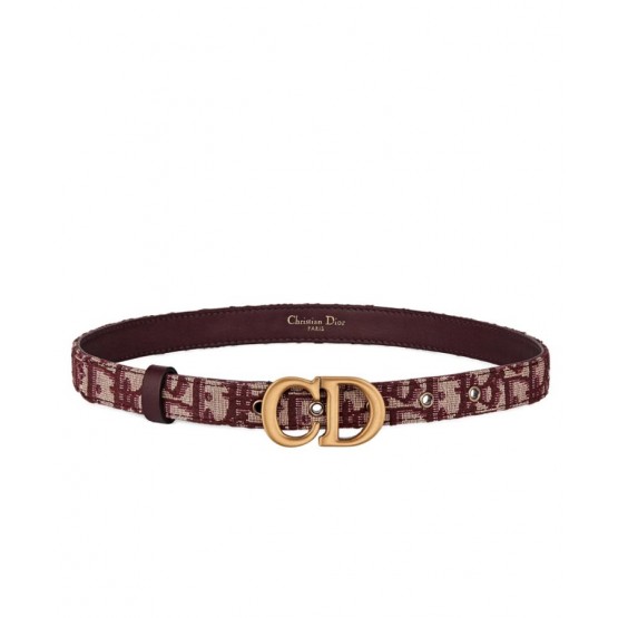 Dior Saddle Dior Oblique Belt
