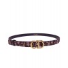 Dior Saddle Dior Oblique Belt