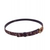 Dior Saddle Dior Oblique Belt