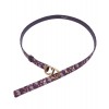 Dior Saddle Dior Oblique Belt