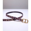 Dior Saddle Dior Oblique Belt