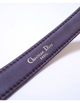 Dior Saddle Dior Oblique Belt