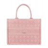 Christian Dior Small Dior Book Tote