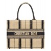 Dior Book Tote Bayadere Small Embroidered Tote Apricot