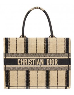 Dior Book Tote Bayadere Small Embroidered Tote Apricot