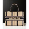 Dior Book Tote Bayadere Small Embroidered Tote Apricot