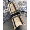 Dior Book Tote Bayadere Small Embroidered Tote Apricot
