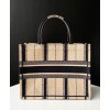 Dior Book Tote Bayadere Small Embroidered Tote Apricot