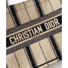 Dior Book Tote Bayadere Small Embroidered Tote Apricot