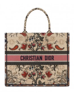 Dior Book Tote Apricot