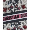 Dior Book Tote Apricot