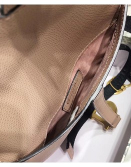 Dior Saddle belt clutch