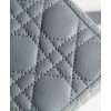 Dior Small Dior Caro Bag