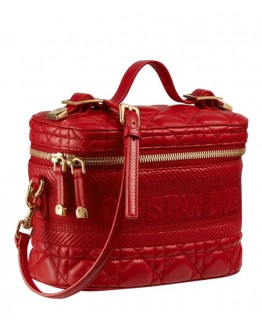 Dior The Leather Vanity Bag