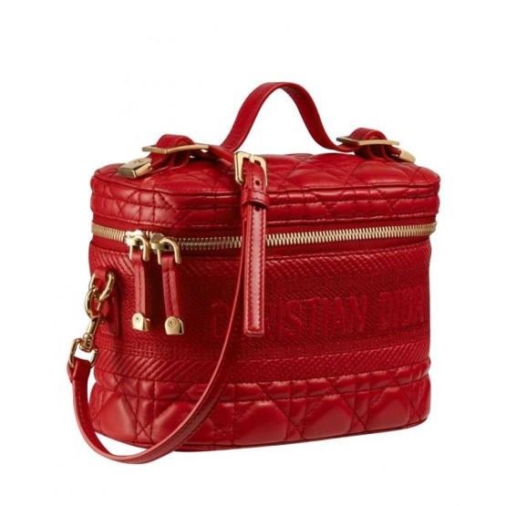 Dior The Leather Vanity Bag