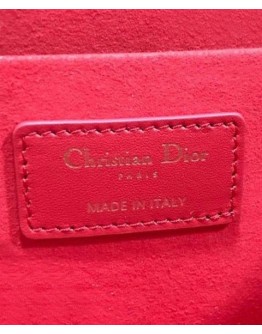 Dior The Leather Vanity Bag