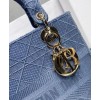 Christian Dior Medium Lady D-Lite Bag