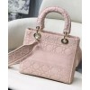 Dior Medium Lady D-lite Embroidered Cannage Bag