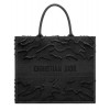Christian Dior Book Tote