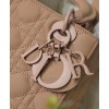 Dior Lady Dior 20cm My Abcdior Bag