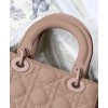 Dior Lady Dior 20cm My Abcdior Bag