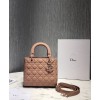 Dior Lady Dior 24cm Ultra-Matte Bag