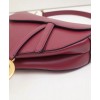 Dior Saddle Bag M0446