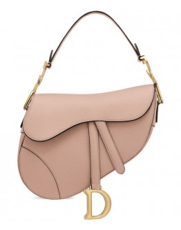 Dior Saddle calfskin bag