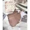 Dior Saddle calfskin bag
