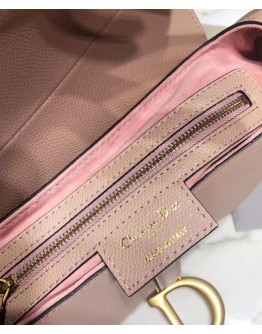 Dior Saddle calfskin bag