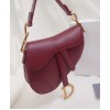 Dior Mini Saddle bag M0447