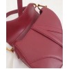 Dior Mini Saddle bag M0447