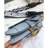 Dior Mini Saddle calfskin bag