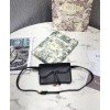 Dior Saddle Belt Clutch
