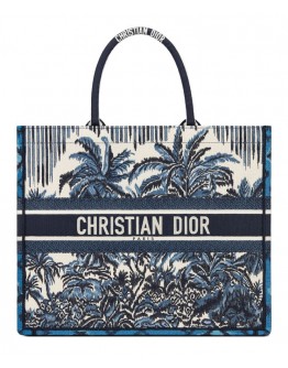 Dior Book Tote Blue